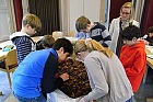 Wir suchen Bodentiere aus dem Brgerpark