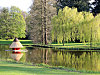 Ein rotes Entenhuschen in einem See mit Weiden am Ufer. Quelle: bremen.online GmbH/KBU